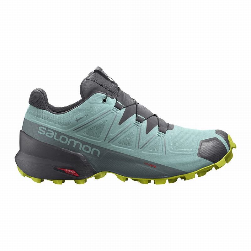 Buty Do Biegania W Terenie Damskie Salomon SPEEDCROSS 5 GORE-TEX - Turkusowe / Ciemny Szare - Polska